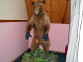 Холл
